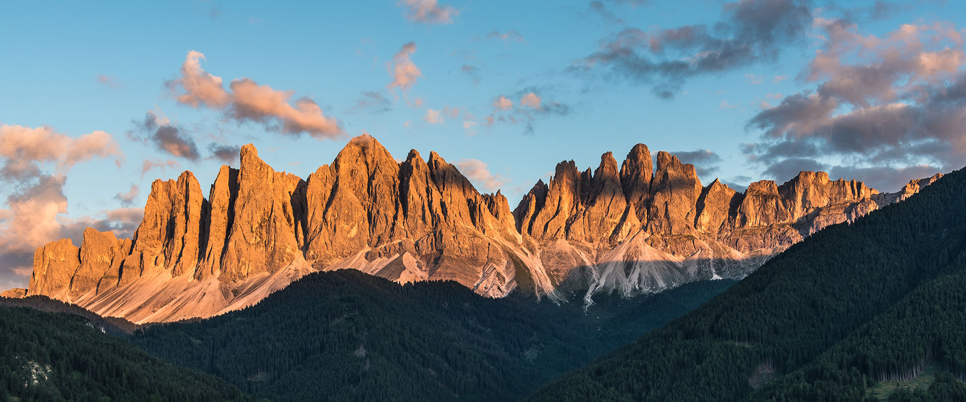 galleria di foto