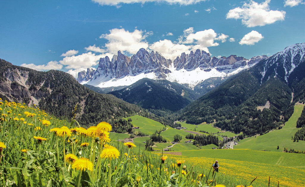 Cinema naturalistico Sorgente delle Odle