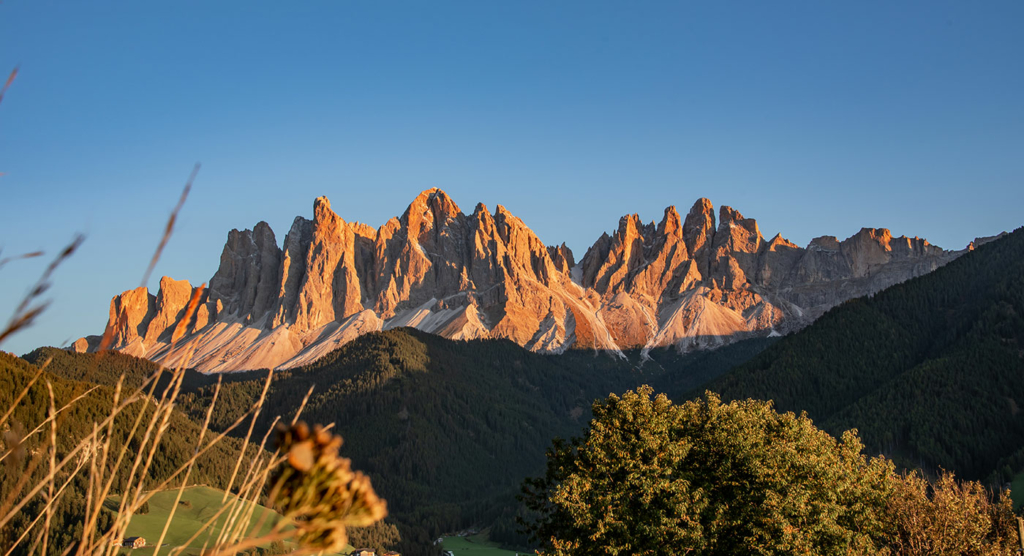 Cinema naturalistico Geisler autunno